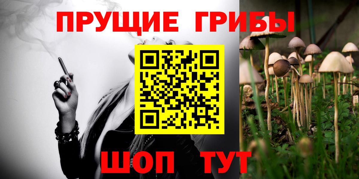 Хабаровск  купить наркотики цена  Вход с VPN  Галлюциногенные грибы GOLDEN TEACHER 